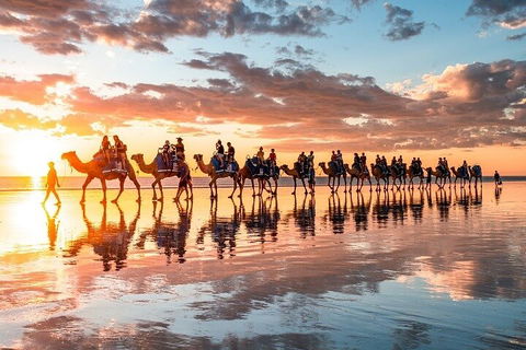1 Hour Broome Sunset Camel Tour - Accommodation Tasmania 2