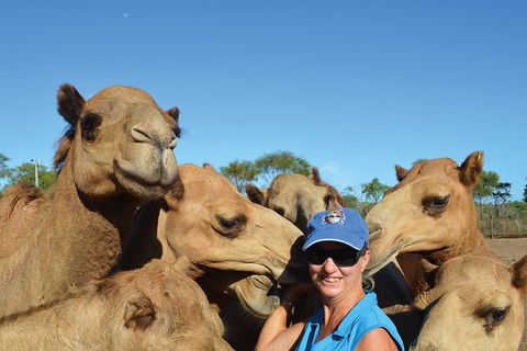 1 Hour Broome Sunset Camel Tour - Accommodation Tasmania 3