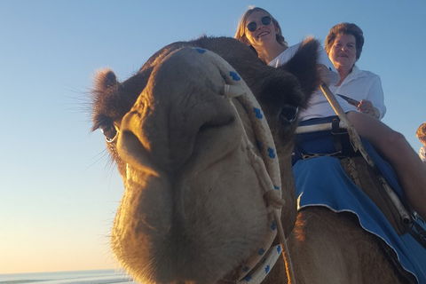 1 Hour Broome Sunset Camel Tour - Accommodation Tasmania 4