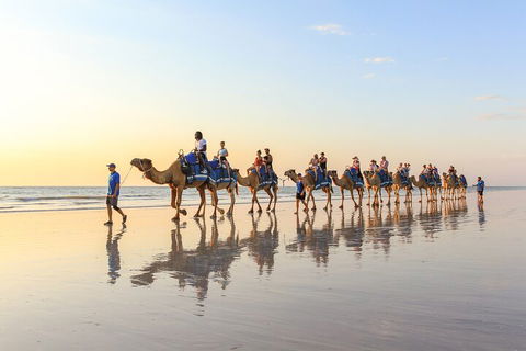 1 Hour Broome Sunset Camel Tour - Accommodation Tasmania 5