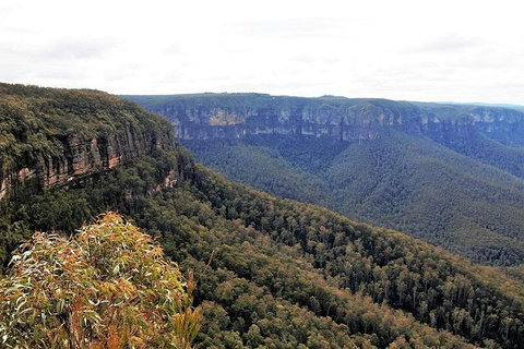 Blue Mountains - Accommodation Tasmania 3