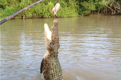 Litchfield National Park And Jumping Crocodile Cruise - Accommodation Tasmania 2