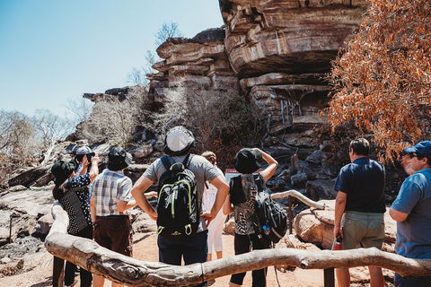 Kakadu Full-Day Tour From Darwin With Lunch - Accommodation Tasmania 1