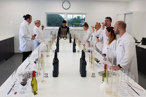 Barossa Valley Intimate Winery Tour Via Adelaide Hills By Private Limo - Accommodation Tasmania 2