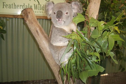 Full-Day Private Blue Mountains Tour With River Cruise - Accommodation Tasmania 2
