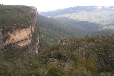 Full-Day Private Blue Mountains Tour With River Cruise - Accommodation Tasmania 3