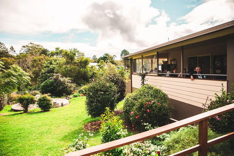 Full-day Springbrook National Park Tour From The Gold Coast - Accommodation Tasmania 2