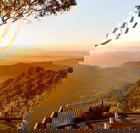O'Reilly's  Lamington National Park incl. Alpaca Farm  Vineyard - Accommodation Tasmania