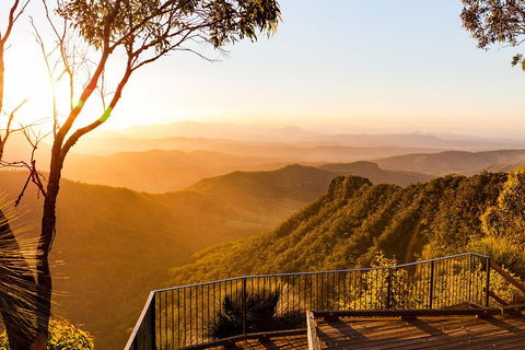 O'Reilly's & Lamington National Park Incl. Alpaca Farm + Vineyard - Accommodation Tasmania 0