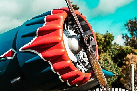 O'Reilly's & Lamington National Park Incl. Alpaca Farm + Vineyard - Accommodation Tasmania 1