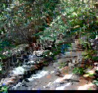 Fraser Island 4WD Tour from Rainbow Beach - Accommodation Tasmania