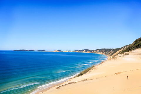 Kayak With Dolphins And 4WD Great Beach Drive Day Trip From Noosa - Accommodation Tasmania 0