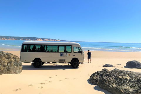 Kayak With Dolphins And 4WD Great Beach Drive Day Trip From Noosa - Accommodation Tasmania 4