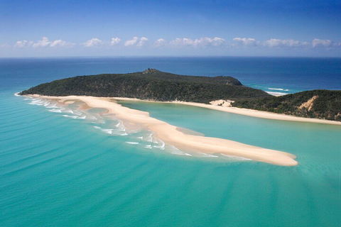 Kayak With Dolphins And 4WD Great Beach Drive Day Trip From Noosa - Accommodation Tasmania 5