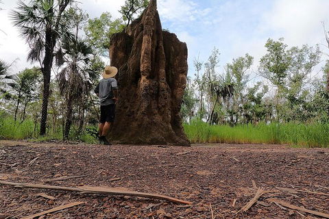ETHICAL ADVENTURES - Litchfield Region, Max 10 Guests - Accommodation Tasmania 3