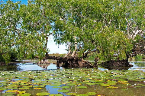 Ethical Adventures - Best In The WET - Litchfield / Kakadu 3 Day- Max 10 Guests - Accommodation Tasmania 1