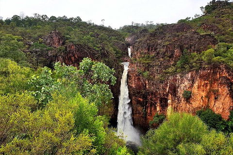Ethical Adventures - Best In The WET - Litchfield / Kakadu 3 Day- Max 10 Guests - Accommodation Tasmania 2