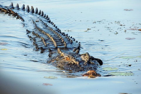 Ethical Adventures - Best In The WET - Litchfield / Kakadu 3 Day- Max 10 Guests - Accommodation Tasmania 4