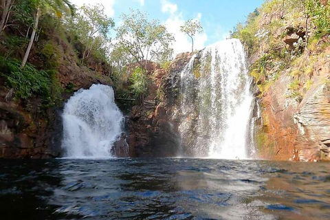 Ethical Adventures - Best In The WET - Litchfield / Kakadu 3 Day- Max 10 Guests - Accommodation Tasmania 5