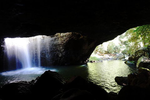 Rainforest & Waterfalls Extravaganza - Accommodation Tasmania 0