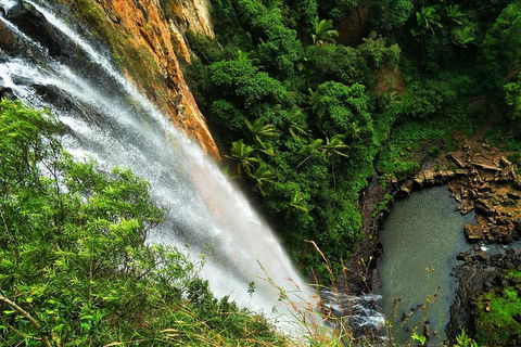Rainforest & Waterfalls Extravaganza - Accommodation Tasmania 1
