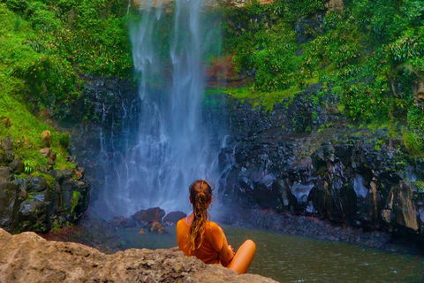 Rainforest & Waterfalls Extravaganza - Accommodation Tasmania 2