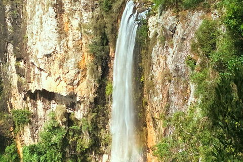 Rainforest & Waterfalls Extravaganza - Accommodation Tasmania 3