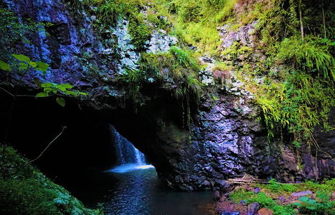 Rainforest & Waterfalls Extravaganza - Accommodation Tasmania 5
