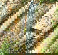 Private Tour - Rainforest  Waterfalls Extravaganza - Accommodation Tasmania