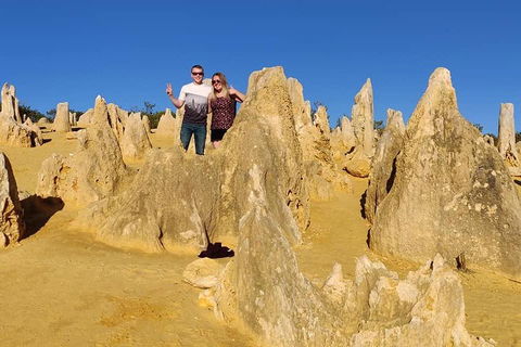 The Pinnacle Adventure Tour - Accommodation Tasmania 4