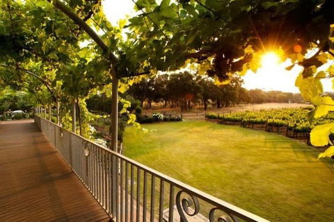 Busselton Jetty + Train Ride + Winery + Scenic Drive Full Day Tour - Accommodation Tasmania 1