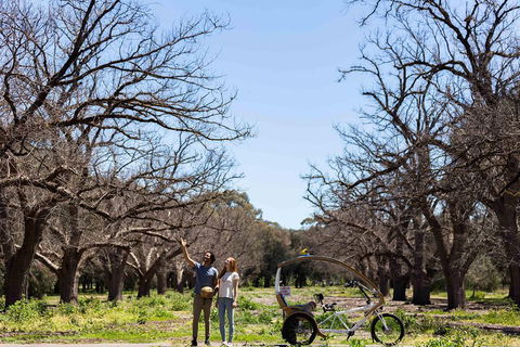 Adelaide 90-Minute Pedicab Tour: Scenic Green & River Experience - Accommodation Tasmania 1