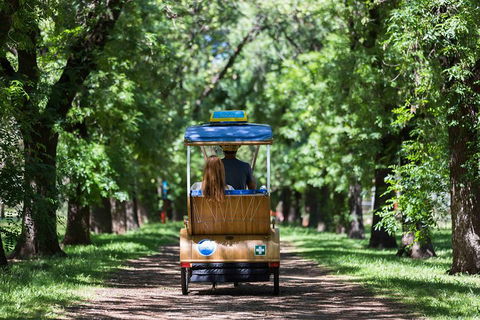 Adelaide 90-Minute Pedicab Tour: Scenic Green & River Experience - Accommodation Tasmania 2