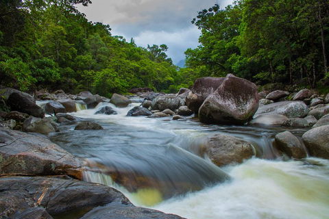 Cape Tribulation Day Tour - Accommodation Tasmania 0