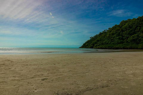 Cape Tribulation Day Tour - Accommodation Tasmania 2