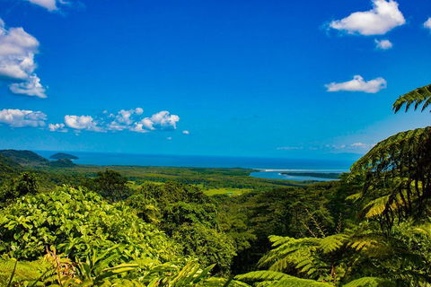 Cape Tribulation Day Tour - Accommodation Tasmania 3