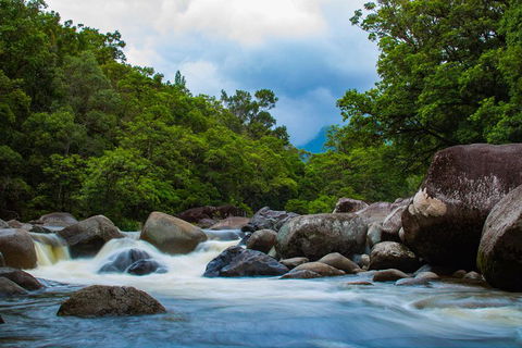 Cape Tribulation Day Tour - Accommodation Tasmania 4