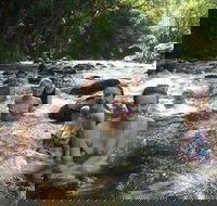 Daintree Rainforest Cape Tribulation Mossman Gorge Small-Group Day Tour - Accommodation Tasmania