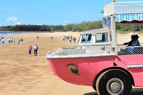 1770 Coastline Tour By LARC Amphibious Vehicle Including Picnic Lunch - Accommodation Tasmania 0