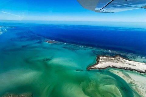 Wet Season Incredible Islands Tour - Horizontal Falls & Cygnet Bay Pearl Farm - Accommodation Tasmania 4