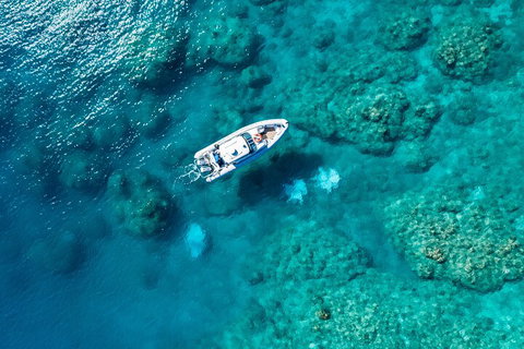 Premium Private Charter - Accommodation Tasmania 0
