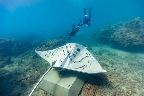 Premium Private Charter - Accommodation Tasmania 5
