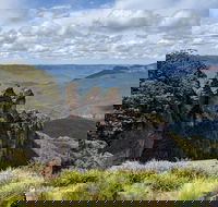 Blue Mountains Private Tour - wild kangaroos waterfalls and The Three Sisters - Accommodation Tasmania