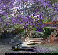 Sydney Secrets  Bondi Beach Private 4 Hr Morning with Personalised Sydney Tours - Accommodation Tasmania