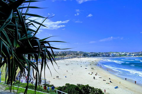Sydney Secrets & Bondi Private 4 Hour Afternoon With 'Personalised Sydney Tours' - Accommodation Tasmania 0