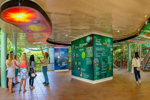 Skyrail & Kuranda Train Day Trip From Cairns - Accommodation Tasmania 0