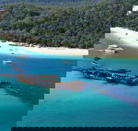 All Inclusive Tangalooma Wrecks Cruise Tour From Gold Coast - Accommodation Tasmania