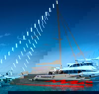 Passions of Paradise Great Barrier Reef Snorkel and Dive Cruise from Cairns by Luxury Catamaran - Accommodation Tasmania