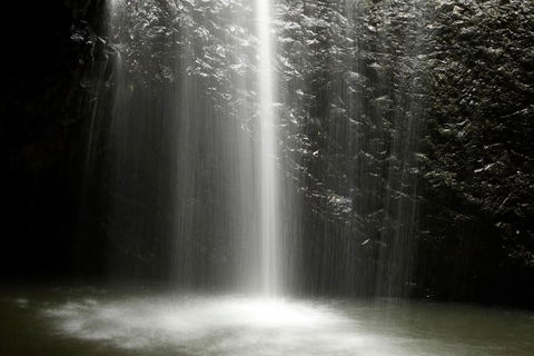 Natural Bridge Glow Worm Night Tour From Gold Coast - Accommodation Tasmania 2