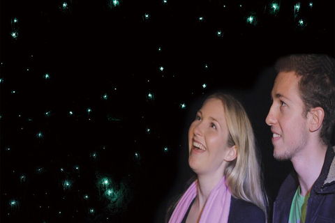 Natural Bridge Glow Worm Night Tour From Gold Coast - Accommodation Tasmania 3